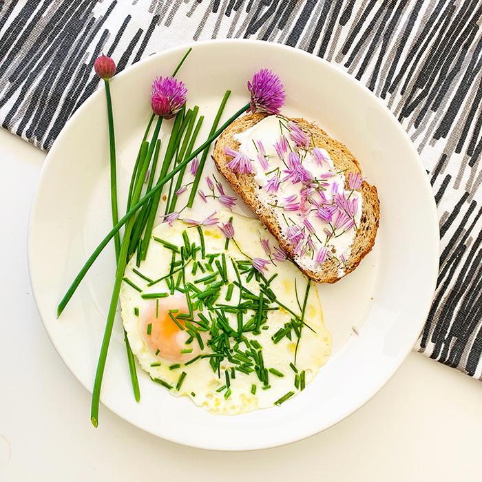 Cooking with Chives & Lemon Swedish dishcloth design