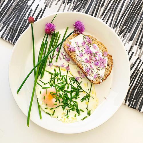 Fried egg with Chive blossoms